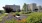 a garden with flowers and trees