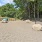 a park with rocks and trees