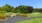 a park with a bench and trees